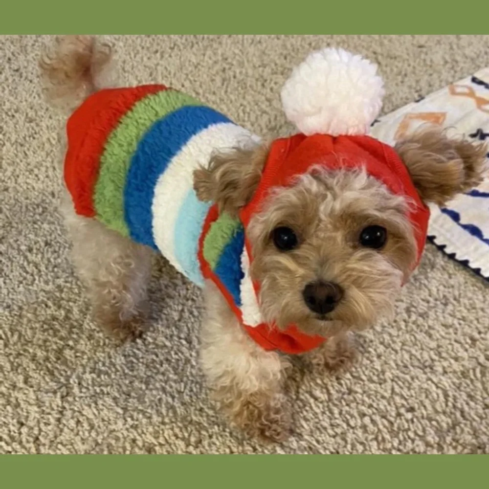 WINTER SHERPA SWEATER *DOG *CAT *NEW *FESTIVE HOLIDAY HOODIE *XS